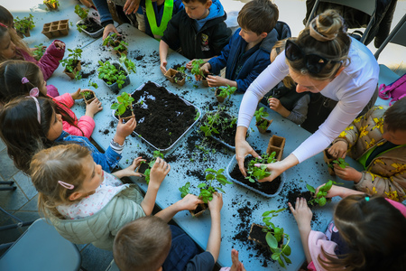 Dan Zemlje_Foto Daniel Skerjanc-0205